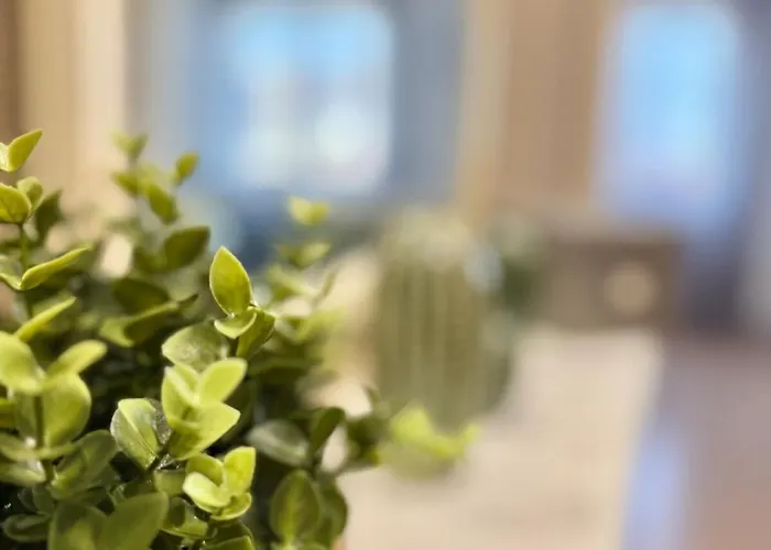 Tu Refugio En - Vive Ix Apartamento